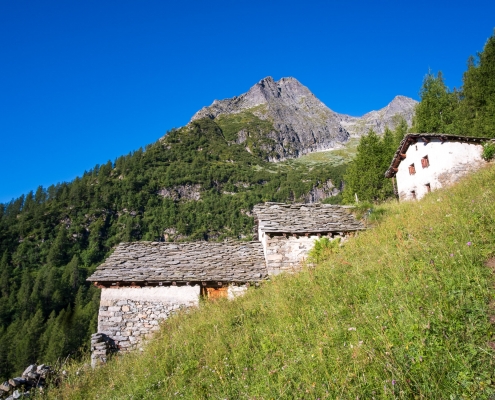 Appena raggiunte le baite di Mehr, poco sopra Alpenzu, il sentiero svolta a destra