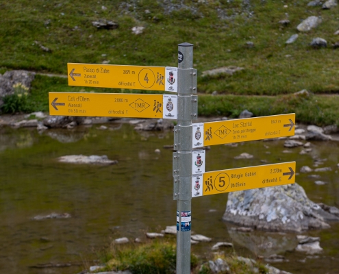 The signs for Trail 4 near the pond.