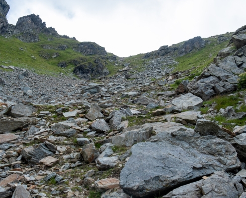 the path ascends to the green scrub on the right