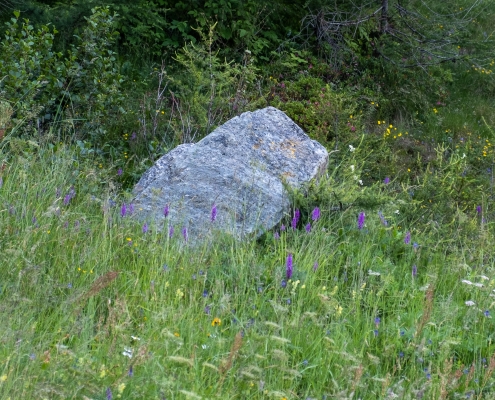 The boulder with the stamp almost obliterated