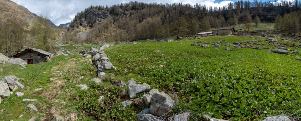 Le baite di Cialfrezzo inferiore (1900m), in alto lontano il colle Valdobbia