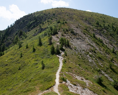 The last section of the trail to Punta Regina