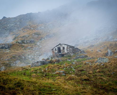 Alpe Bettolina a 2375m