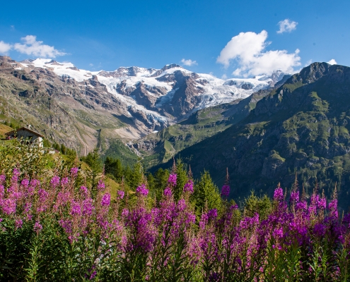 Mount Rosa as seen from St. Anne's