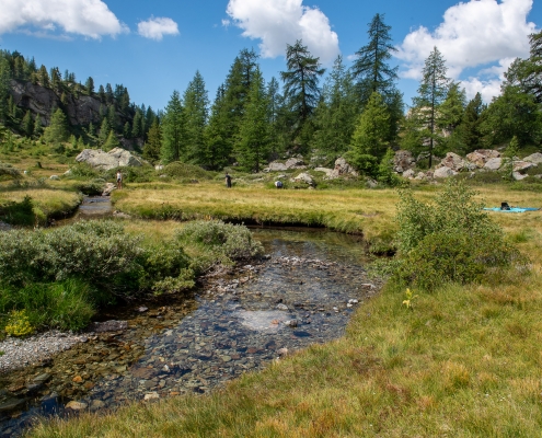 Un luogo ideale per un picnic principesco