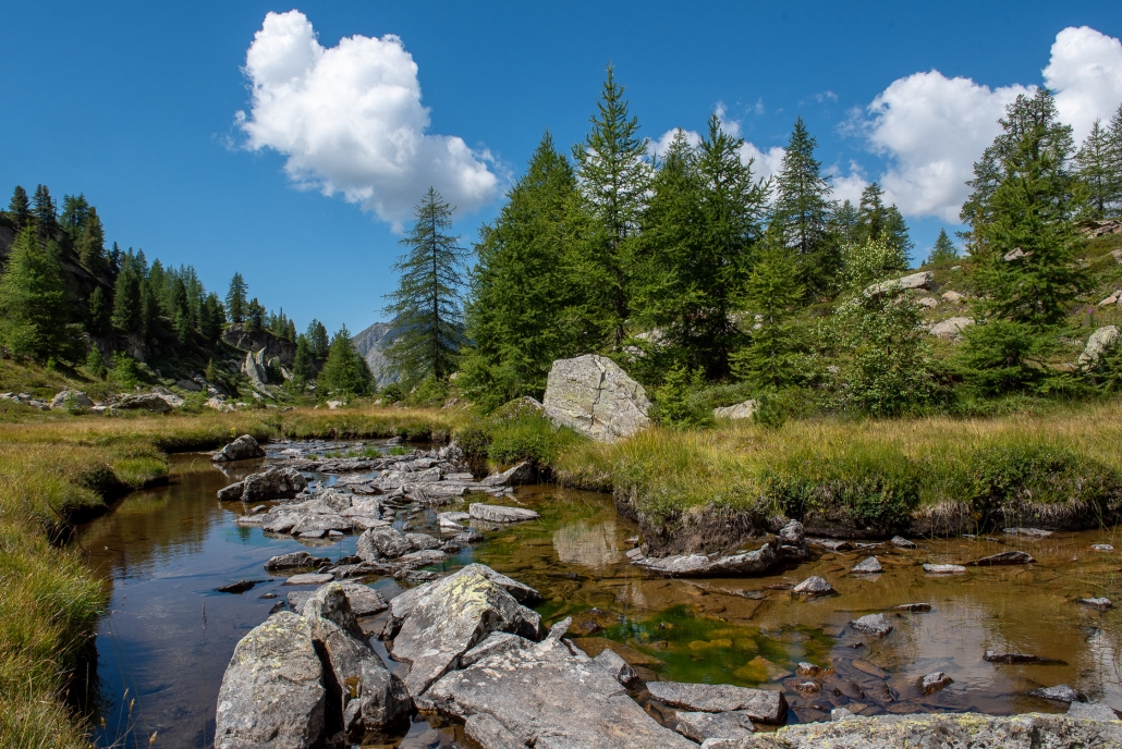 The stream that runs through the Valley of the Princes