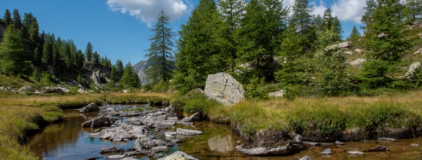 Il torrente che solca la Valle dei Principi