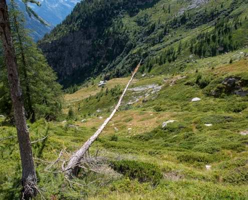 L'alpe Staller (2020m), dall'alto del sentiero