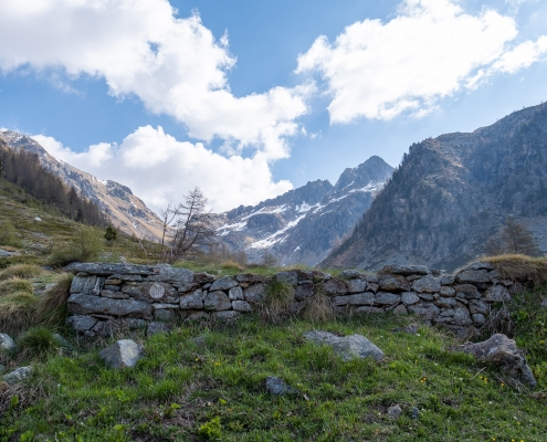 Questo rudere segna l'arrivo al pianoro dove si trova Cialfrezzo Superiore