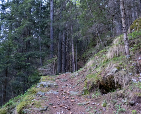 At first the trail is pleasantly sloping: later on things will change...