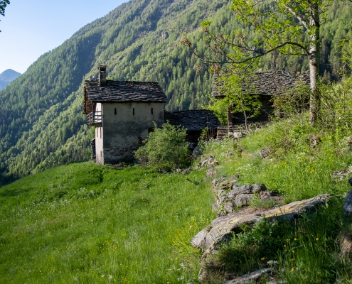 Prima di raggiungere Rong, il sentiero svolta a destra