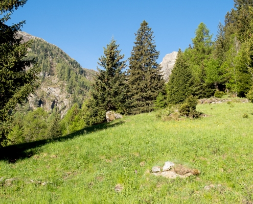 The trail climbs steeply and inconspicuously toward those pine trees on the right