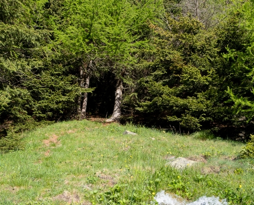 The door into the woods where the trail enters