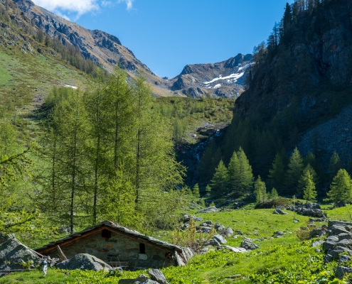 Cialfrezzo inferiore, 1890m, guardando verso il colle