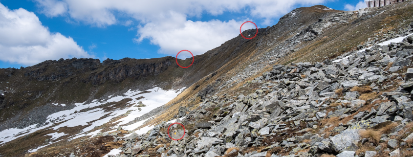Circled in red are one of the bolts to follow, the collar on the left and Punta Valnera on the right