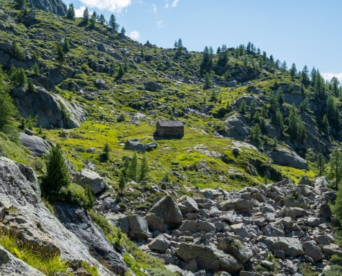 L'Alpe Bronne (2239m)