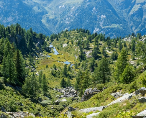 La Valle dei Principi vista dall'Alpe Bronne