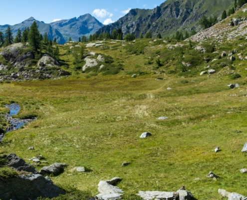 La valle dei principi dall'inizio del tratto verso l'alpe Bronne