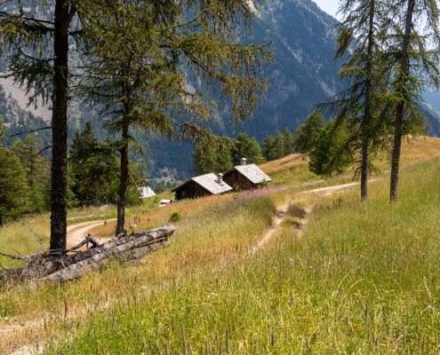 David's cabins, as seen from the pole