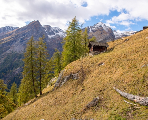 First huts at 1830m (in autumn)
