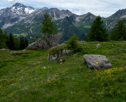 Descending from Skerpie Inferiore, follow to the left.