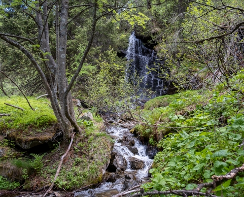 Other rivulets of the Hobéergbach stream.