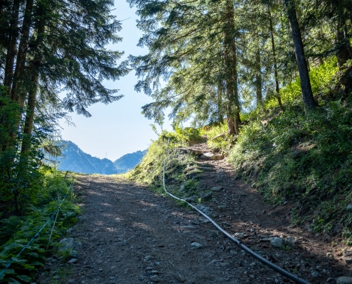 The trail starts to the right of the dirt road