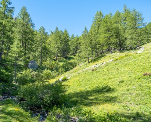 Il ruscello che si guada prima di spostarsi sull'altro versante