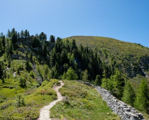 Dal Colle, guardando verso Punta Regina