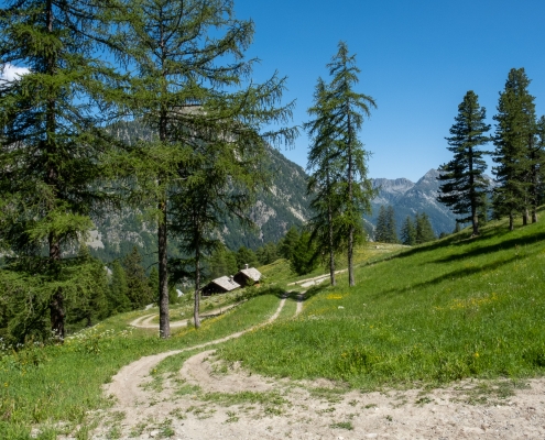 David's cabins at the junction for Trail 2