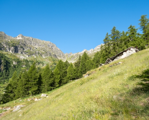 l'Alpe Ronché, 1878m