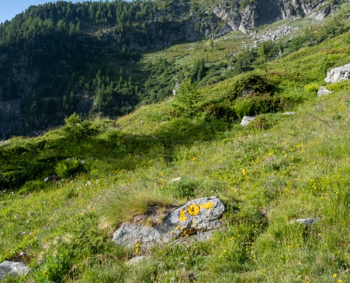 L'indicazione a pochi metri dall'Alpe Staller (2000m)