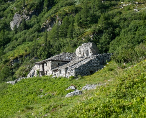 L'Alpe Staller, 2000m