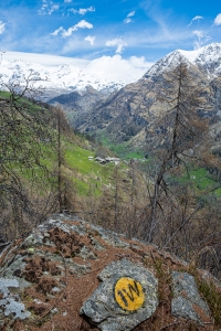 Alpenzu Grande in vista