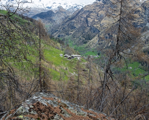 Alpenzu Grande in view