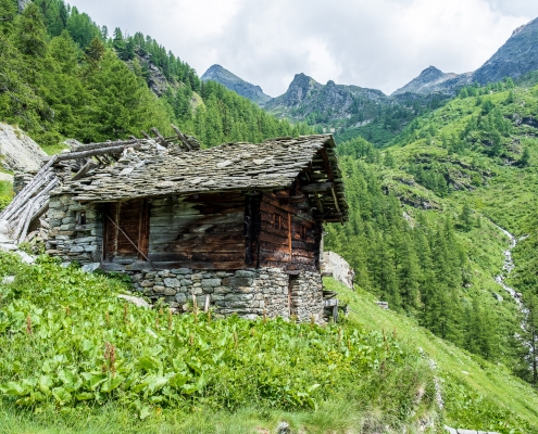 Valdobbiola Inferiore (1898m), giugno 2021