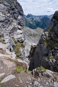 The rift along the ridge
