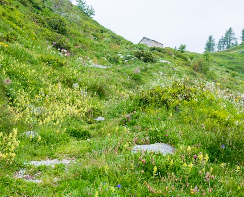 L'ultimo pezzo in salita verso il Colle Ranzola