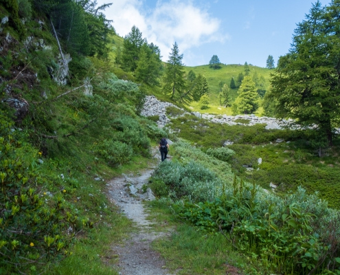 The last stretch before arriving in sight of lower Ranzola.