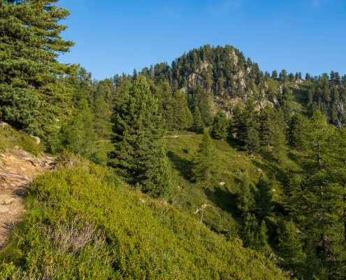 Si sale verso quella spalla montuosa