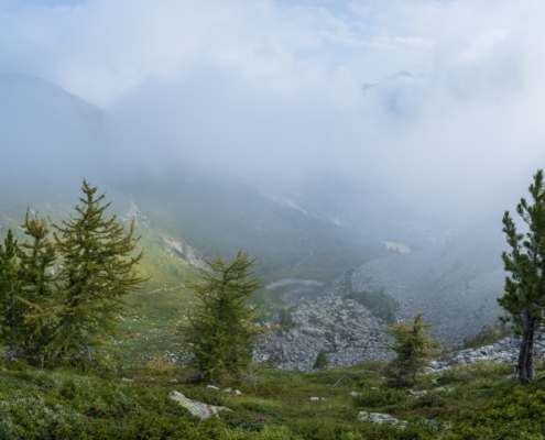 Vista dalla salita verso il Mont Rena