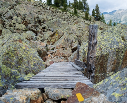 One of the wooden walkways that facilitate passage