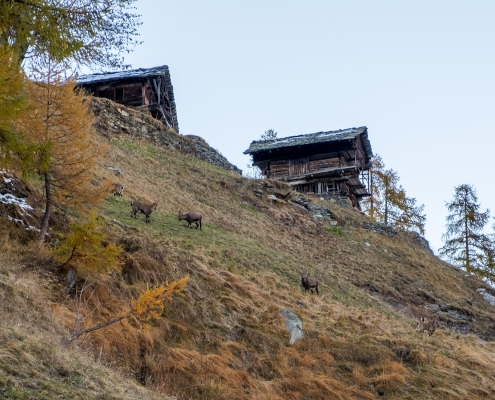 Stadel prima di Alpenzu Piccolo