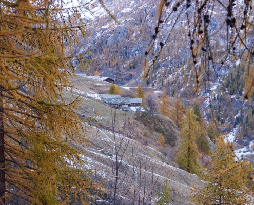 Alpenzu Piccolo in vista