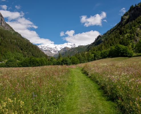 We continue on to the Monte Rosa