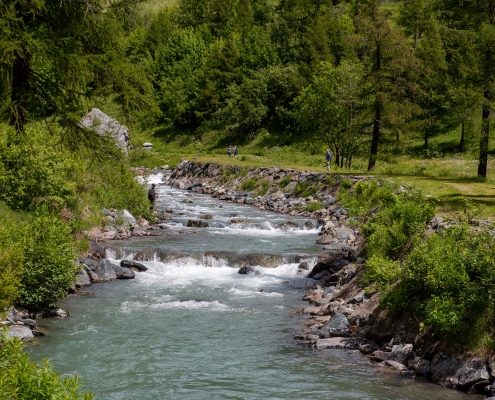 View along the Lys towards Stafal