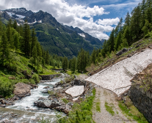 Along the Lys, a snowfield that survived the winter.