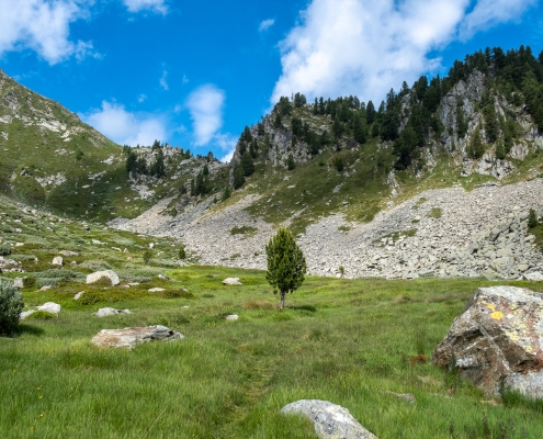 At the end of the plateau we approach the stony ground