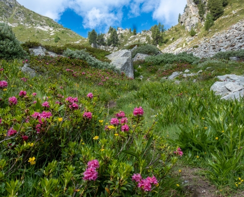 The trail is definitely picturesque