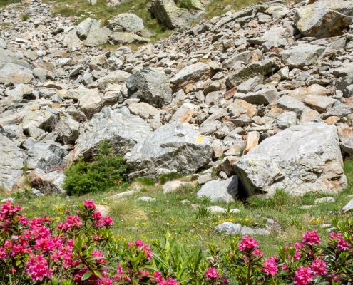 The stamp indicating the entrance to the stony ground